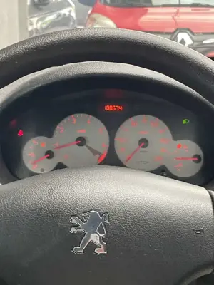 Peugeot 206 Grand Filou Cool