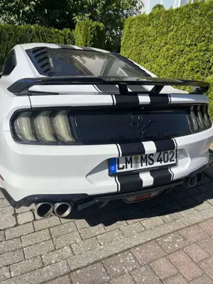 Ford Mustang 3,7 L V6 (amerikanisch) Schaltgetriebe Bild 4