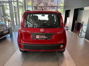 Fiat Panda Pop Bild 5