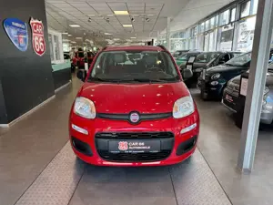 Fiat Panda Pop Bild 2