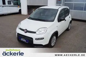 Fiat Panda Base Klima I Bluetooth I DAB I Mild-Hybrid