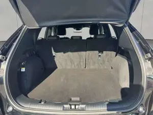 Ford Kuga 1.5 EcoBoost ST-LINE X Bild 4