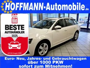 Skoda Octavia Ambition DSG,AHK,Sitzheizung,PDC