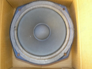 Defekte neue Mc-Farlow Hifi-Lautsprecher für Bastler Bild 3