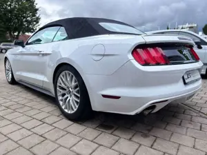 Ford Mustang Cabrio 3,8 V6  227 KW LEDER Automatik Bild 3