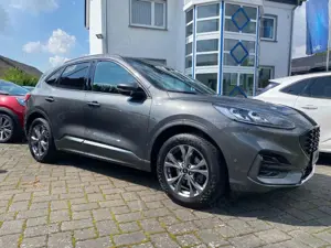 Ford Kuga ST-Line X AHK schwenkbar