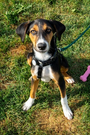 Zauberhafte Nami sucht.....