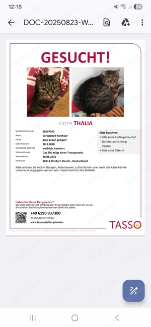 90513 Zirndorf Katze Thalli vermisst
