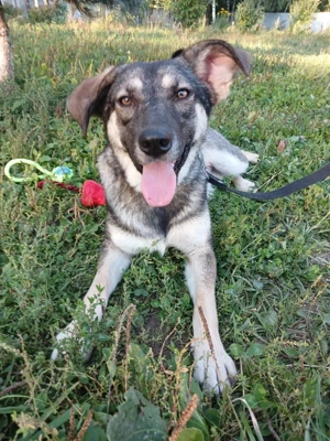 Verzaubert Lori dich mit ihren augen ?!