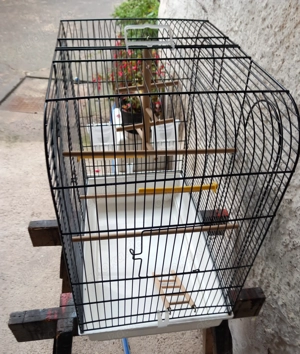 Vogelkäfig Gebrauchter Bild 2 Vogelkäfig Gebrauchter Bild 2