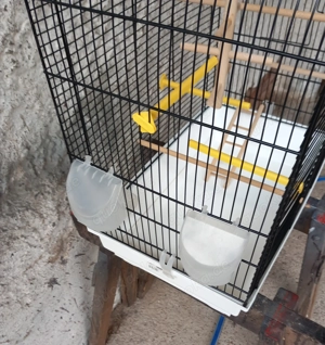 Vogelkäfig Gebrauchter Bild 3 Vogelkäfig Gebrauchter Bild 3