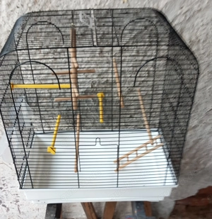 Vogelkäfig Gebrauchter Bild 4 Vogelkäfig Gebrauchter Bild 4