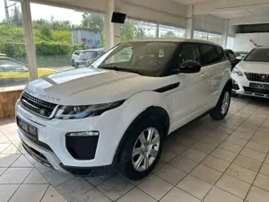 Land Rover Range Rover Evoque SE Dynamic Panor Netto=16387 Bild 3