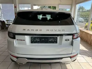 Land Rover Range Rover Evoque SE Dynamic Panor Netto=16387 Bild 5