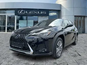 Lexus UX 300e KAM*DAB*ACC*PDC Bild 2