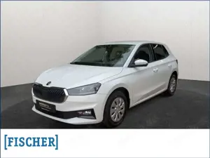 Skoda Fabia 1.0TSI Selection LED Carplay SHZ GRA PDC hinten