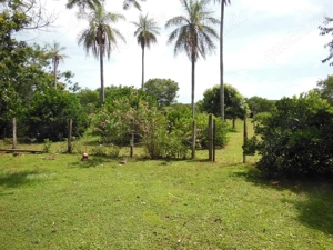 Landgut in Paraguay zu verkaufen Bild 7