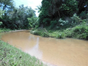 Landgut in Paraguay zu verkaufen Bild 10