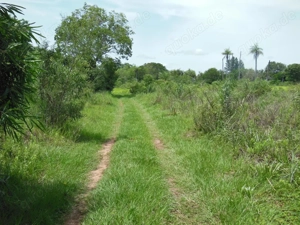 Landgut in Paraguay zu verkaufen Bild 9