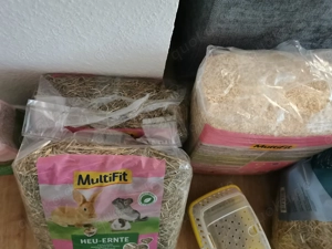 Wüstenrennmäuse 3 Weibchen mit allem was man braucht Bild 6