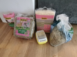 Wüstenrennmäuse 3 Weibchen mit allem was man braucht Bild 7