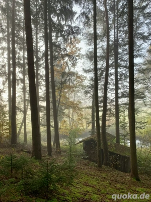 Suche eine Waldhütte zum kaufen 