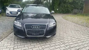 Audi A3 1.6 Ambiente Automatik Sitzheizung Teilleder Bild 3