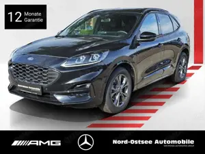 Ford Kuga 2.0 ST-Line X  AUT BANGOLUFSEN LED AHK