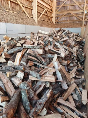 7 Stars Gekauft, 1 geschenkt.