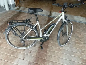 Hercules Futura Sport  E-bike