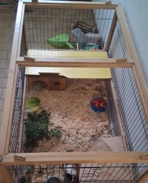 Kleintierstall für Innen  Bild 4