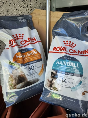 royal canin Katzenfutter 