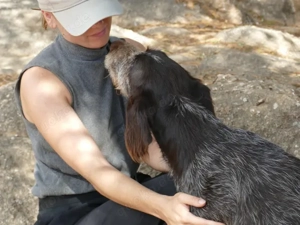 Barth sucht sein Zuhause (noch auf Sardinien) Bild 5