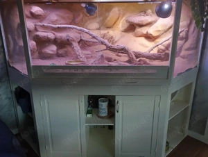 XXL Terrarium mit viel Stauraum 