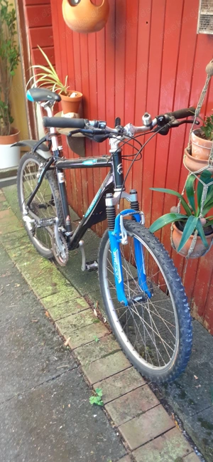 26er Herren-Sportrad