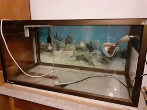 Terrarium mit Schiebetüren und Belüftungsgitter abzugeben