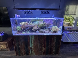 Meerwasseraquarium New Wave Meerwasser Aquarium Beckenauflösung