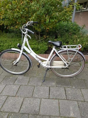 Damen Fahrrad 