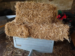 Hochdruckbunde wiesenheu , weizenstroh, Luzerne 