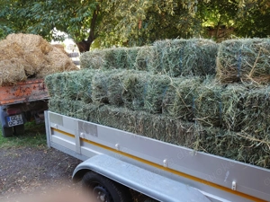 Luzernenheu kleine Hochdruckbunde 