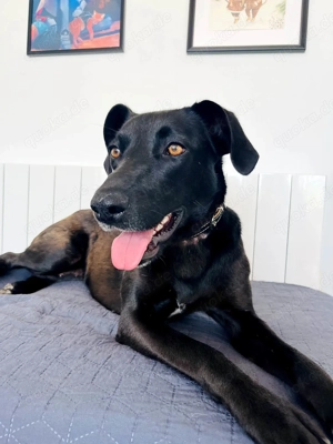 Wunderschöne Mai sucht ihre Familie