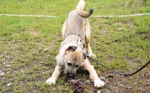 Verliebst du dich in den Hübschen Billy?