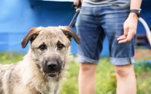 Verliebst du dich in den Hübschen Billy?