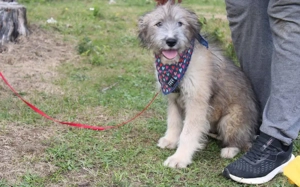 Tanzt du gemeinsam mit Arena durchs Leben?