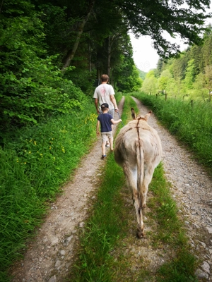 Eselwanderung - auch als Event an einem Kindergeburtstag 