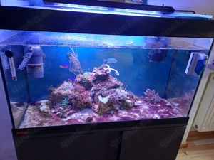 Meerwasserbecken inhalt