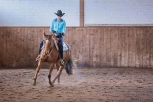 Berittplatz Jungpferde und Korektur