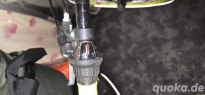 Thombike Gelb und Yazoo blau