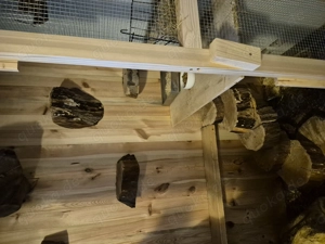 Chinchillas mit großem Käfig  Bild 4