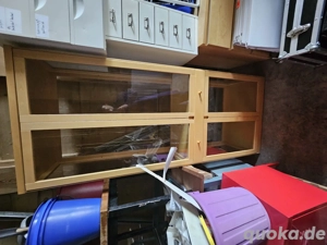 Vitrine schrank mit schublade  Bild 2